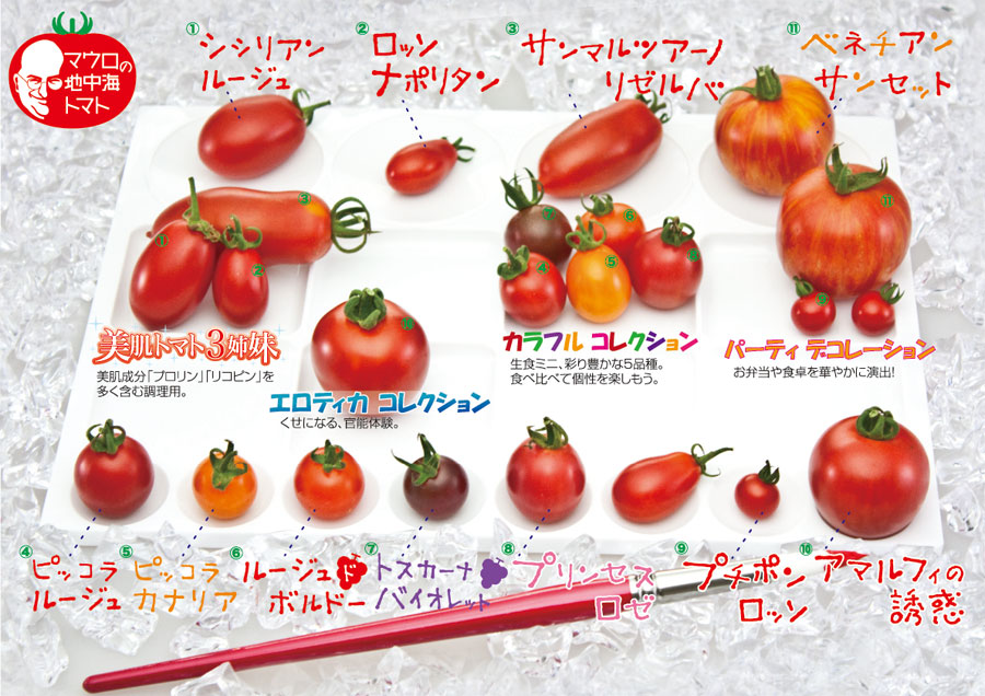 マウロの地中海トマト 全品品種 | シシリアンルージュ