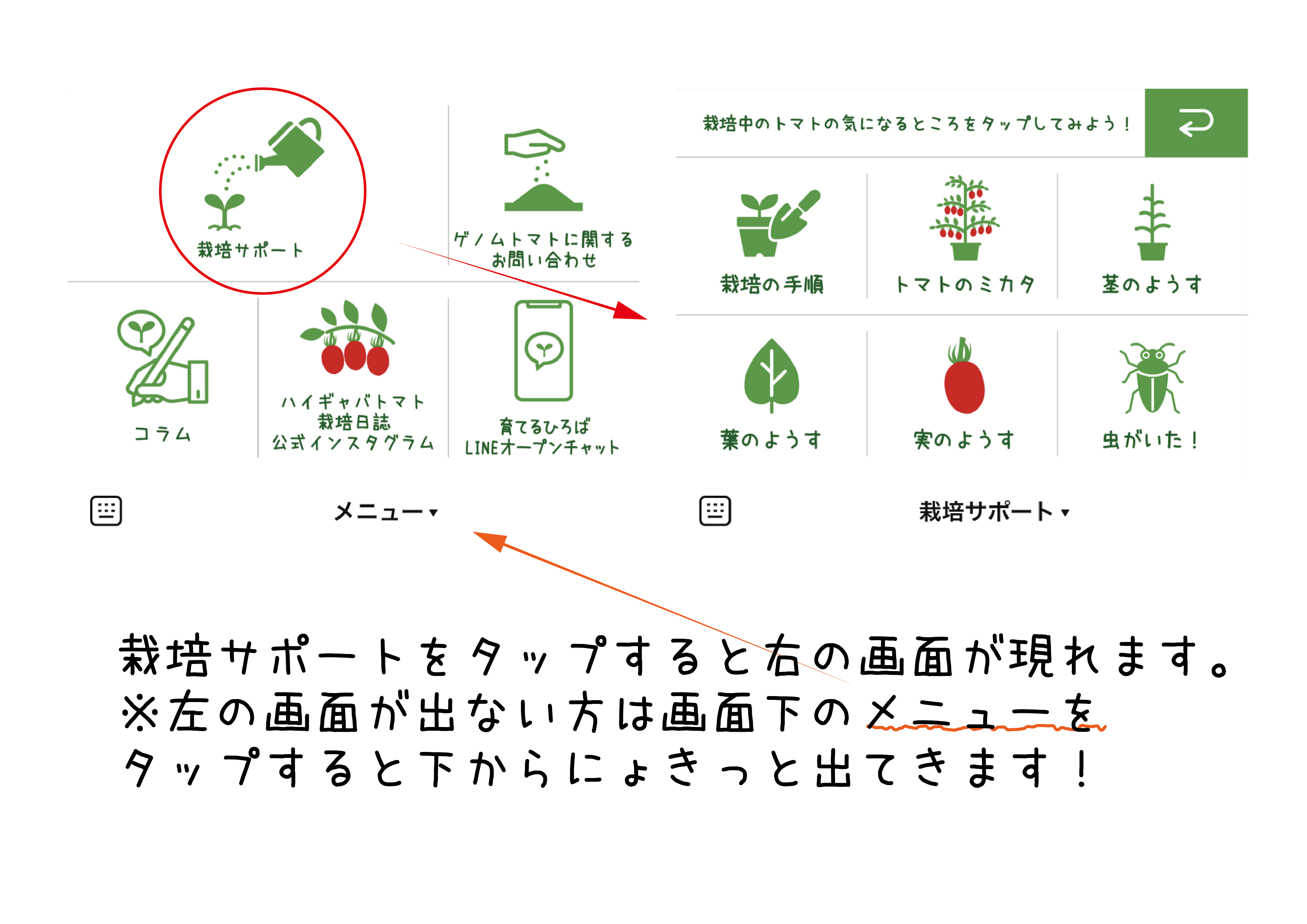 すべての記事 トマトのブログ