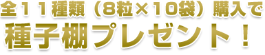 全11種類(8粒×10袋)購入で種子棚プレゼント!