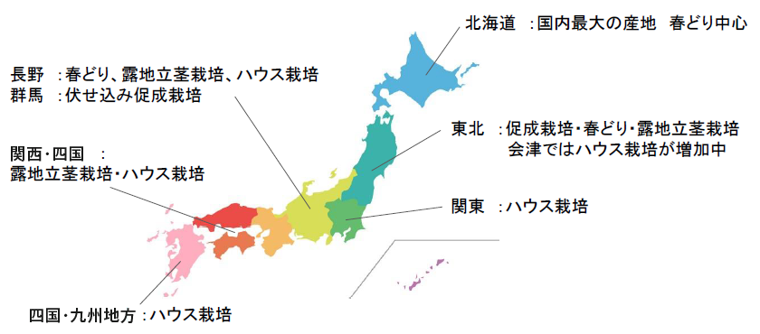 作型 栽培方法に応じてアスパラガスの品種選択をサポート パイオニアエコサイエンス株式会社