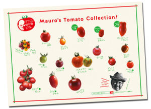 Mauro's Tomato Collection!