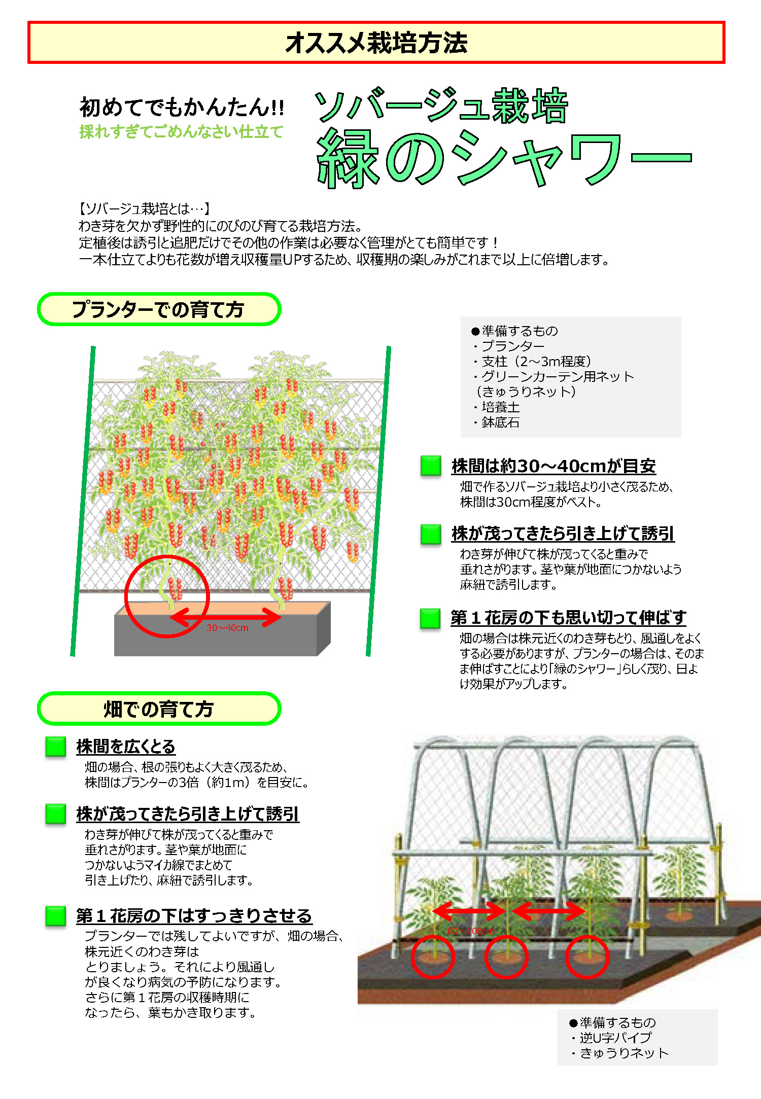 トマトのグリーンカーテンで夏を乗り切ろう 種苗 農業資材の販売と土壌 植物 水質分析による肥培管理のご提案 パイオニアエコサイエンス株式会社